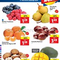 lidl 4 a 10 janeiro